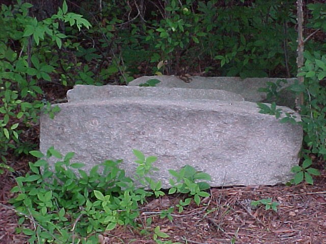 Stone steps from McKinley steps